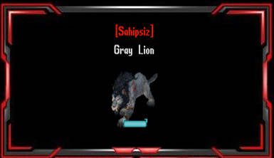 Gray Lion