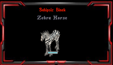 Zebra Horse