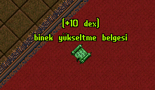 Binek Yükseltme Dex