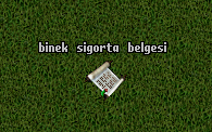 Binek Sigorta Belgesi